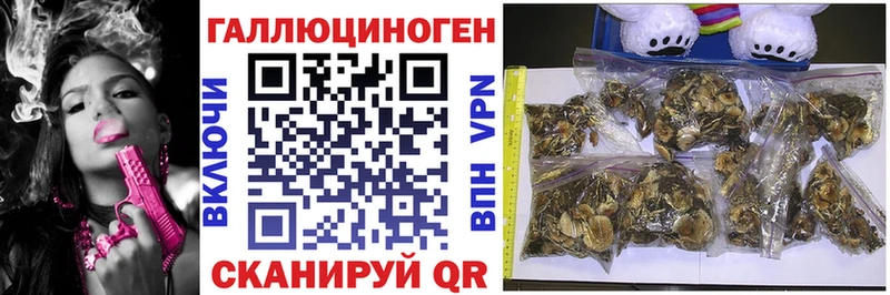 Галлюциногенные грибы Psilocybine cubensis  магазин  наркотиков  Красный Кут 